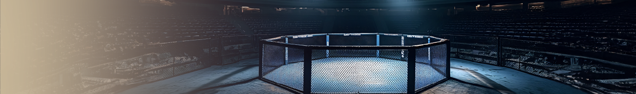 Banner esporte MMA/UFC